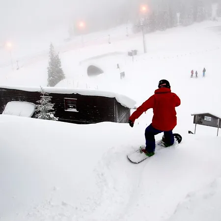 Alpinhytter Kvitfjellvegen 492 山林小屋 科威费耶尔