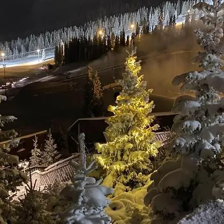 بيت خشبي Alpinhytter Kvitfjellvegen 492 *