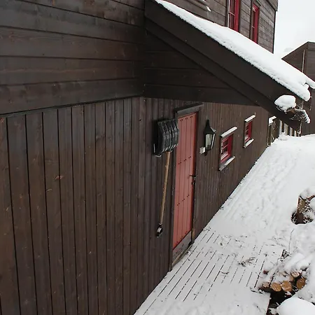 Alpinhytter Kvitfjellvegen 492 山林小屋 科威费耶尔