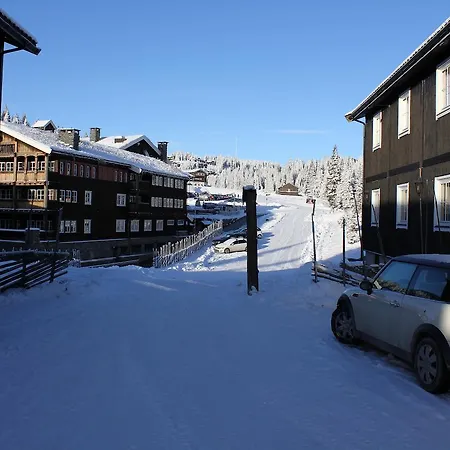 Alpinhytter Kvitfjellvegen 492 *