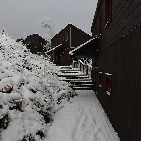 بيت خشبي Alpinhytter Kvitfjellvegen 492