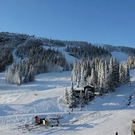 山林小屋 Alpinhytter Kvitfjellvegen 492