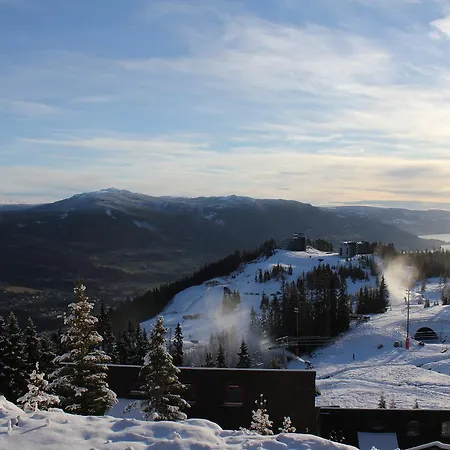 山林小屋 Alpinhytter Kvitfjellvegen 492 科威费耶尔