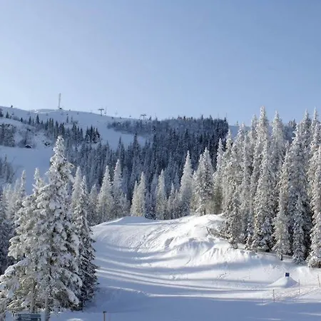 Alpinhytter Kvitfjellvegen 492