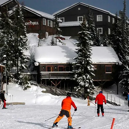 Alpinhytter Kvitfjellvegen 492 科威费耶尔