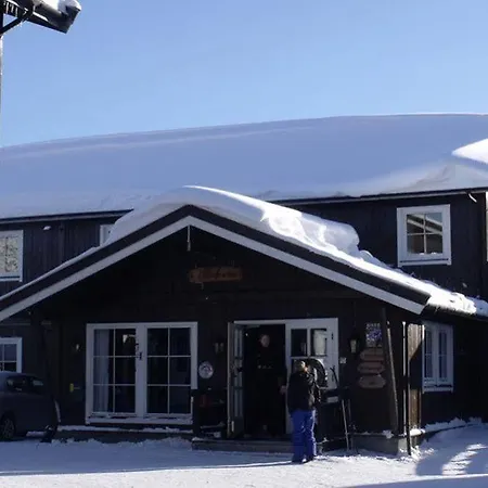 Alpinhytter Kvitfjellvegen 492 山林小屋 科威费耶尔