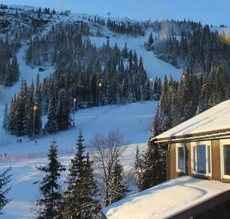 Alpinhytter Kvitfjellvegen 492 Hytte