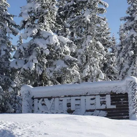 Alpinhytter Kvitfjellvegen 492 بيت خشبي *