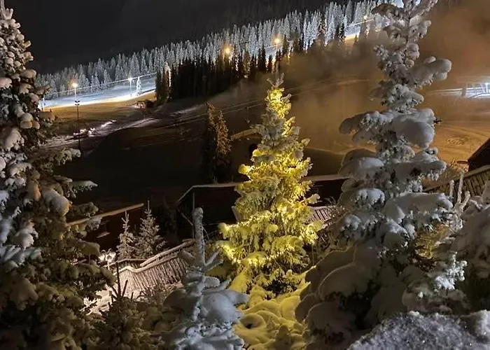 Jaktstuga Alpinhytter Kvitfjellvegen 492 *