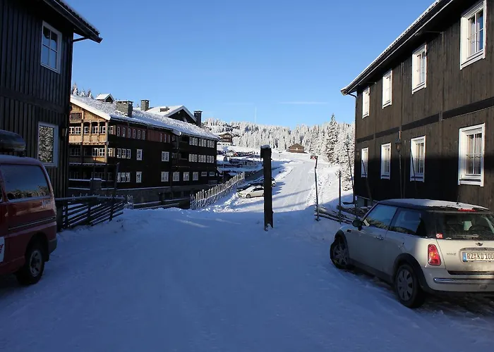 Alpinhytter Kvitfjellvegen 492 *