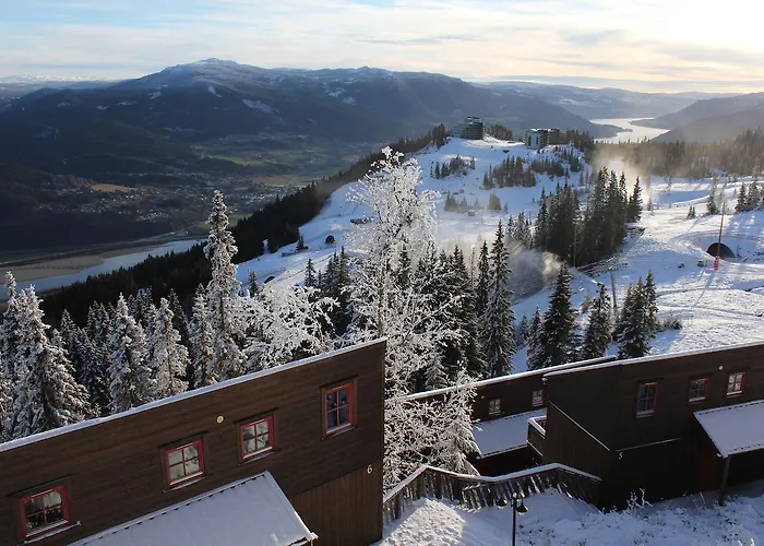 Alpinhytter Kvitfjellvegen 492