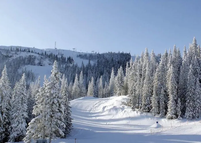 Alpinhytter Kvitfjellvegen 492