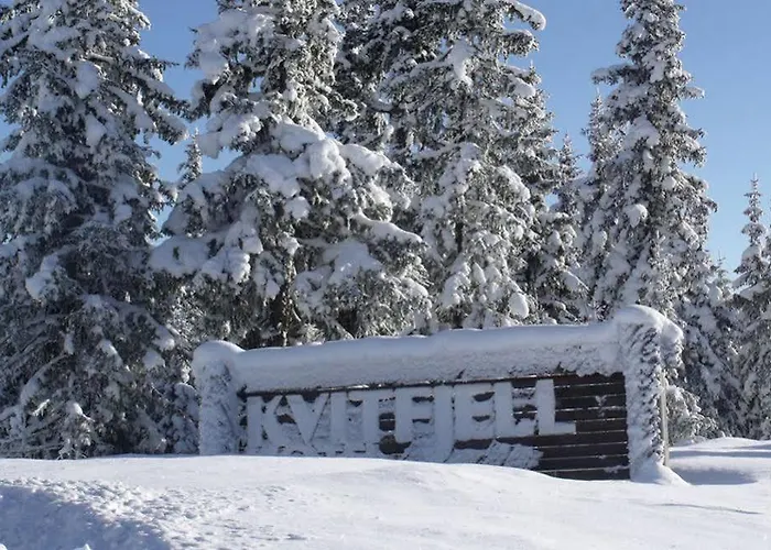 Alpinhytter Kvitfjellvegen 492 Jaktstuga *