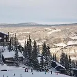 Alpinhytter Kvitfjellvegen 492 Lodge